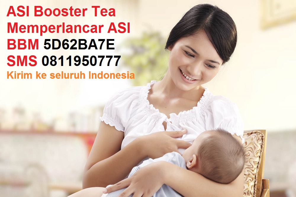 memperlancar asi booster tea